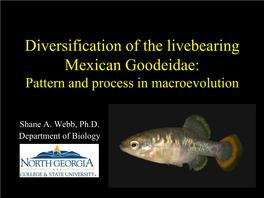 Diversification of the Livebearing Mexican Goodeidae: Pattern and Process in Macroevolution