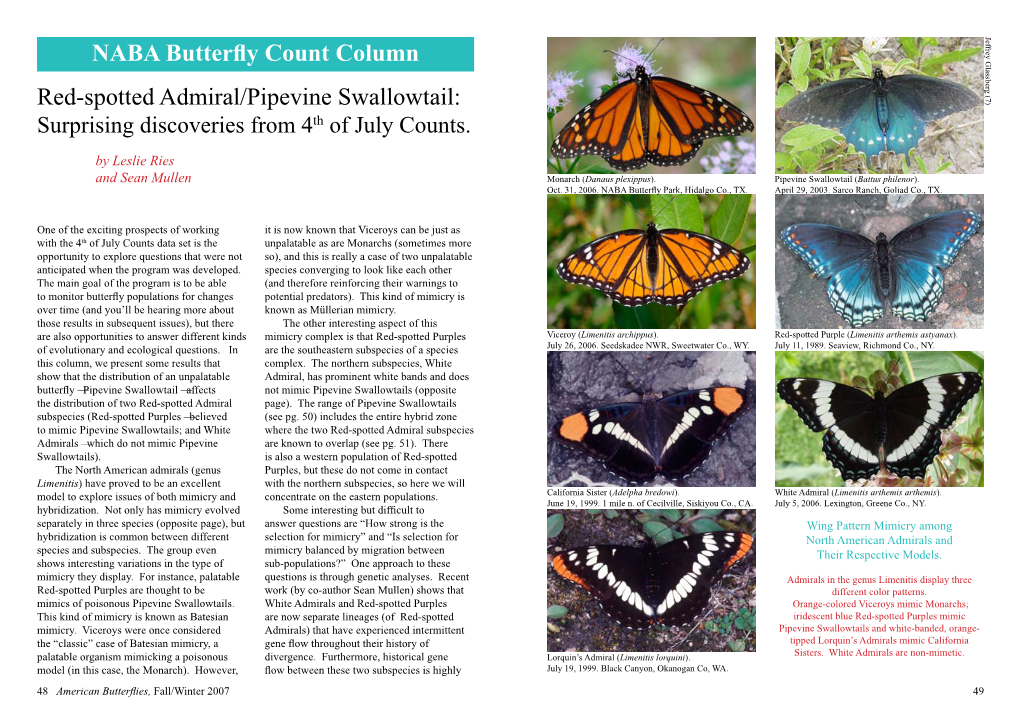 Count Column: Red-Spotted Admiral/Pipevine Swallowtail