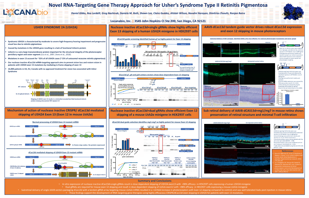 Novel RNA-Targeting Gene Therapy Approach for Usher's