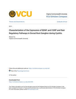 Characterization of the Expression of BDNF and CGRP and Their Regulatory Pathways in Dorsal Root Ganglion During Cystitis