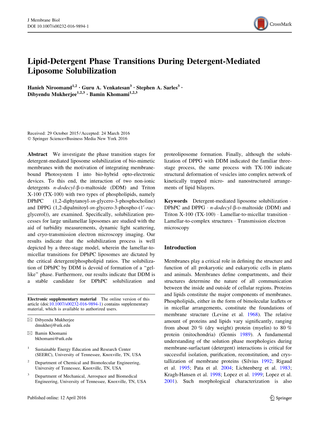 Lipid-Detergent Phase Transitions During Detergent-Mediated Liposome Solubilization