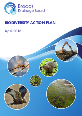 IDB Biodiversity Action Plan Templat