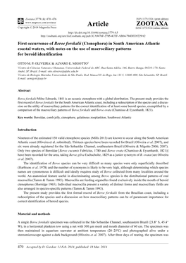 First Occurrence of Beroe Forskalii (Ctenophora) in South American Atlantic Coastal Waters, with Notes on the Use of Macrociliary Patterns for Beroid Identification