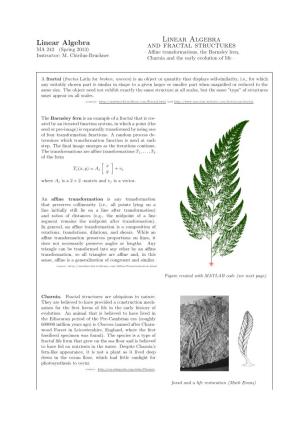 Linear Algebra Linear Algebra and Fractal Structures MA 242 (Spring 2013) – Aﬃne Transformations, the Barnsley Fern, Instructor: M