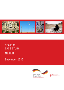 SE4JOBS Case Study Mexico December 2015