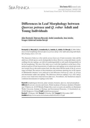 Differences in Leaf Morphology Between Quercus Petraea and Q