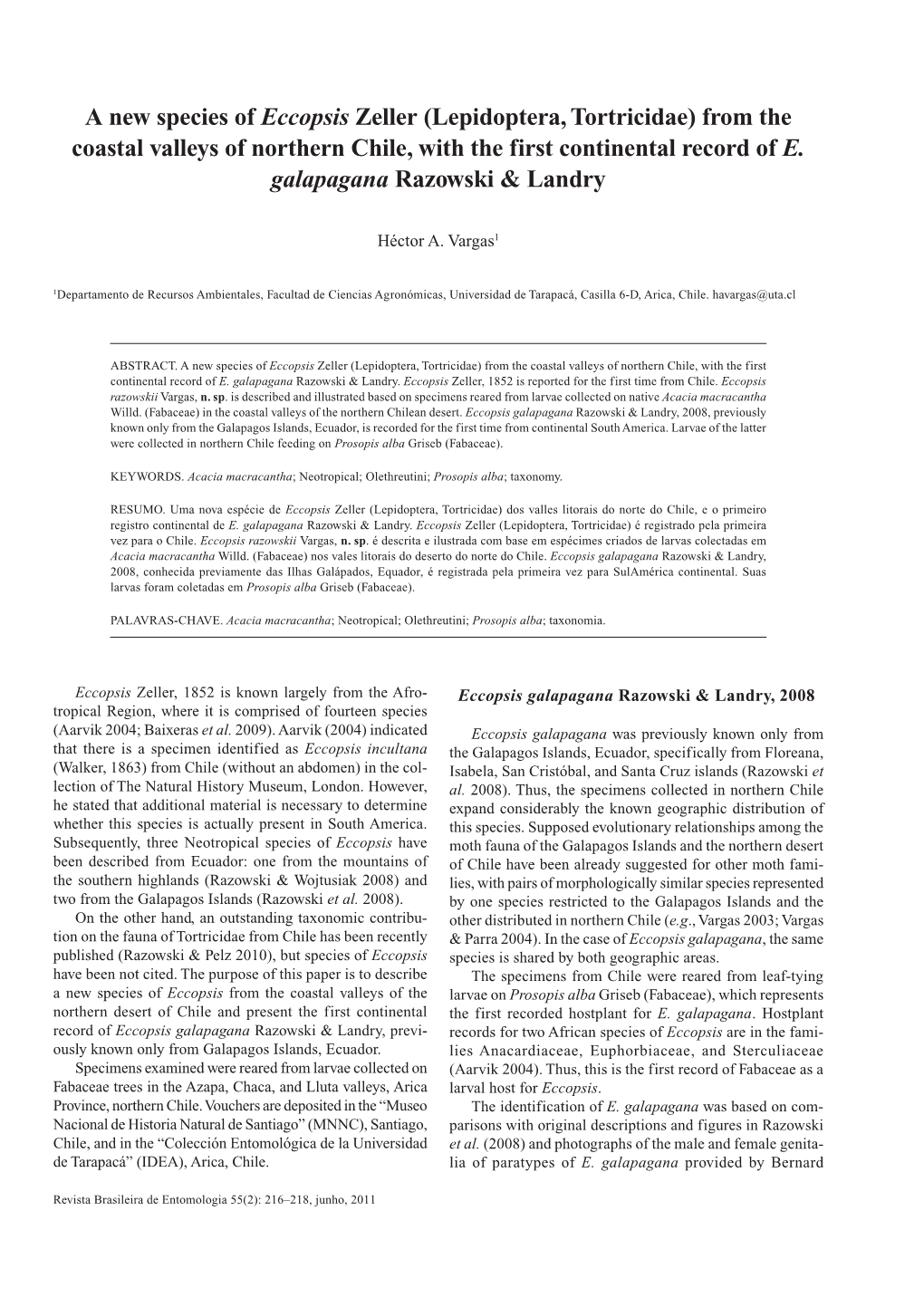 A New Species of Eccopsis Zeller (Lepidoptera, Tortricidae) from the Coastal Valleys of Northern Chile, with the First Continental Record of E