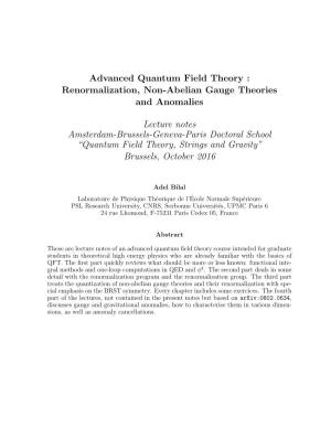 Renormalization, Non-Abelian Gauge Theories and Anomalies Lecture Notes Amsterdam-Brussels-Genev