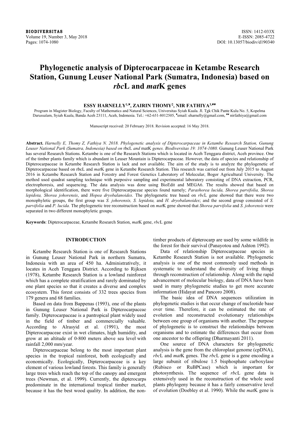 Phylogenetic Analysis of Dipterocarpaceae in Ketambe Research Station, Gunung Leuser National Park (Sumatra, Indonesia) Based on Rbcl and Matk Genes