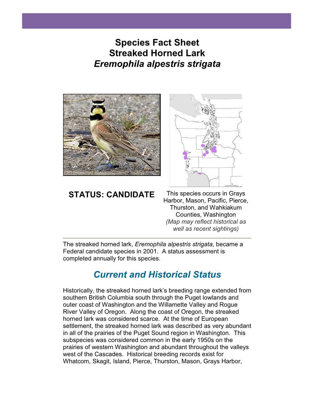 Species Fact Sheet Streaked Horned Lark Eremophila Alpestris Strigata