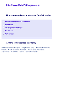 Ascaris Lumbricoides, Roundworm, Causative Agent Of