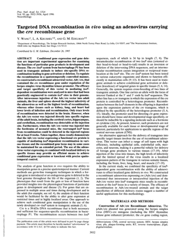 The Cre Recombinase Gene Y