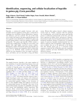 Identification, Sequencing, and Cellular Localization of Hepcidin in Guinea