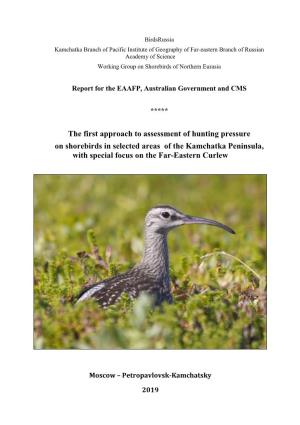 Birdsrussia Report on Shorebird Hunting 2019