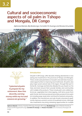 Cultural and Socioeconomic Aspects of Oil Palm in Tshopo and Mongala, DR Congo Alphonse Maindo, Bily Bolakonga, Corneille E.N