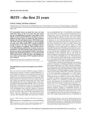 MITF—The First 25 Years