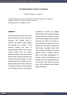 The Retinal Basis of Vision in Chicken