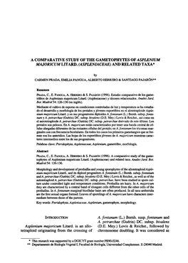 A Comparative Study of the Gametophytes of Asplenium Majoricum Litard
