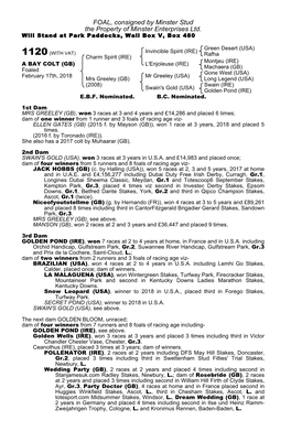 FOAL, Consigned by Minster Stud the Property of Minster Enterprises Ltd. Will Stand at Park Paddocks, Wall Box V, Box 480