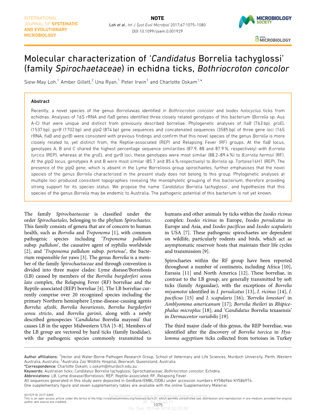 Molecular Characterization of 'Candidatus