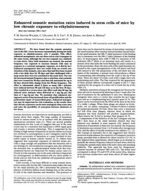 Enhanced Somatic Mutation Rates Induced in Stem Cells of Mice by Low Chronic Exposure to Ethylnitrosourea (Dose Rate/Intestine/D1b-1/Laci) P