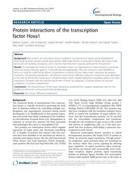Protein Interactions of the Transcription Factor Hoxa1