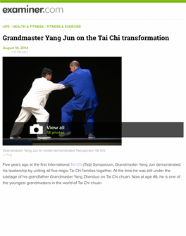 Grandmaster Yang Jun on the Tai Chi Transformation