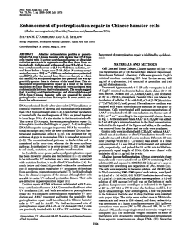 Enhancement of Postreplication Repair in Chinese Hamster Cells (Alkaline Sucrose Gradients/Ultraviolet/N-Acetoxy-Acetylaminofluorene/DNA) STEVEN M