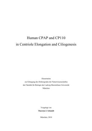 Human CPAP and CP110 in Centriole Elongation and Ciliogenesis
