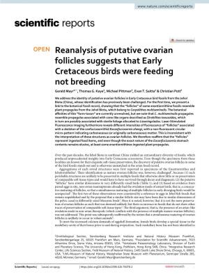 Reanalysis of Putative Ovarian Follicles Suggests That Early Cretaceous Birds Were Feeding Not Breeding Gerald Mayr1*, Thomas G