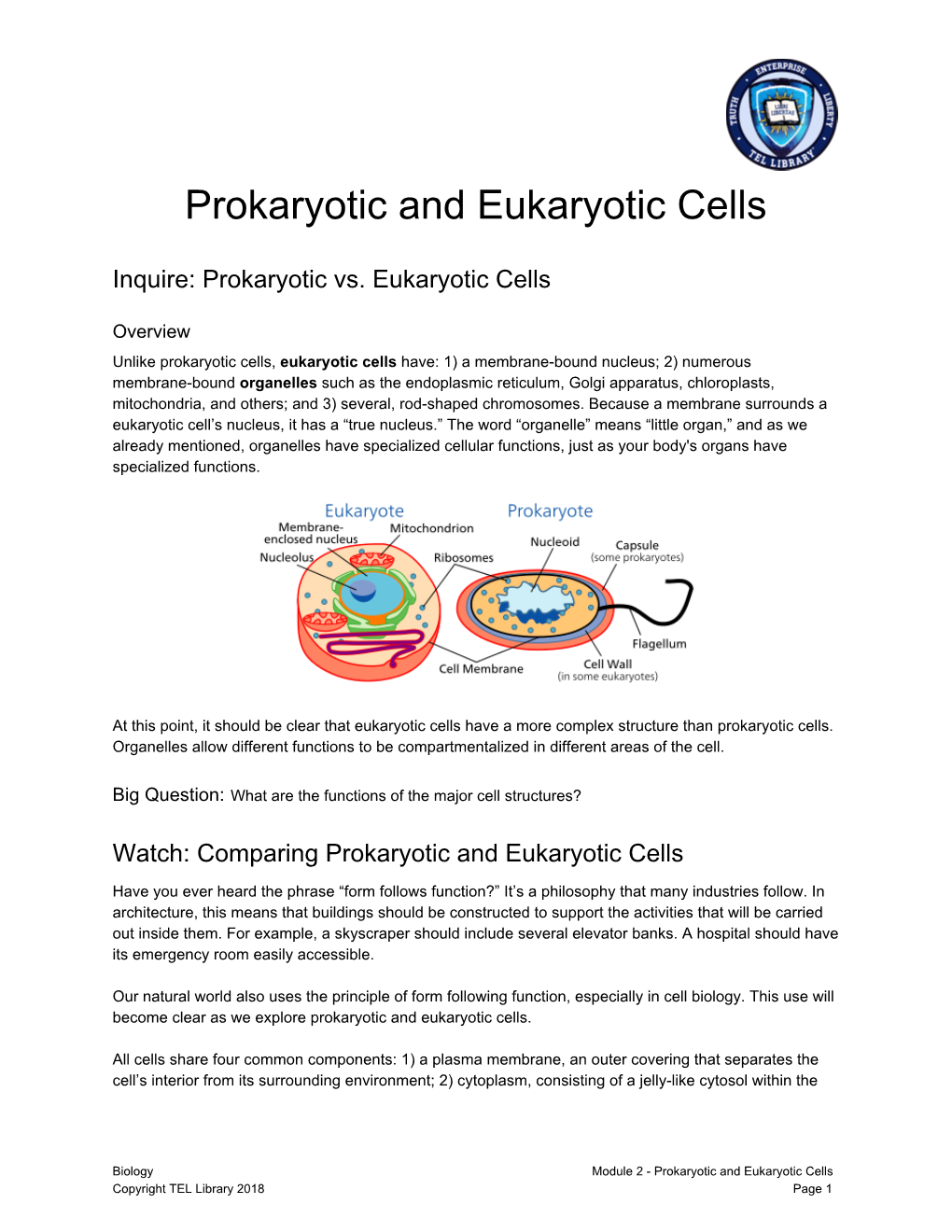 Prokaryotic and Eukaryotic Cells