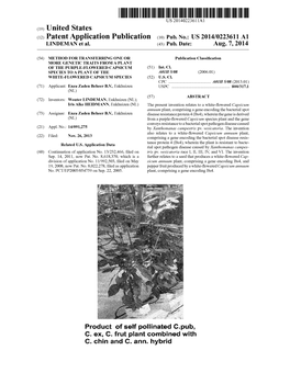 (12) Patent Application Publication (10) Pub. No.: US 2014/0223611 A1 LNDEMAN Et Al