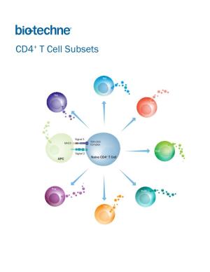 CD4+ T Cell Subsets