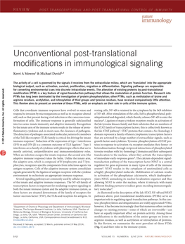 Unconventional Post-Translational Modifications in Immunological Signaling