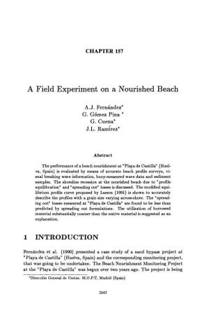A Field Experiment on a Nourished Beach