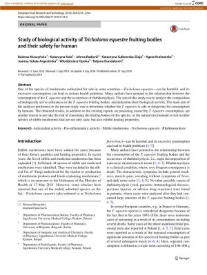 Study of Biological Activity of Tricholoma Equestre Fruiting Bodies and Their Safety for Human