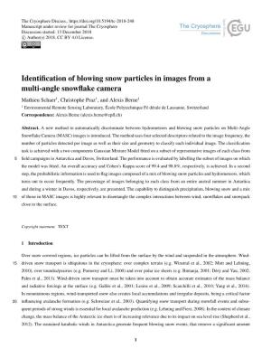 Identification of Blowing Snow Particles in Images from a Multi-Angle Snowflake Camera