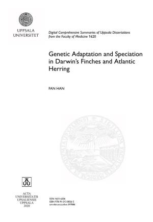 Genetic Adaptation and Speciation in Darwin S Finches and Atlantic Herring