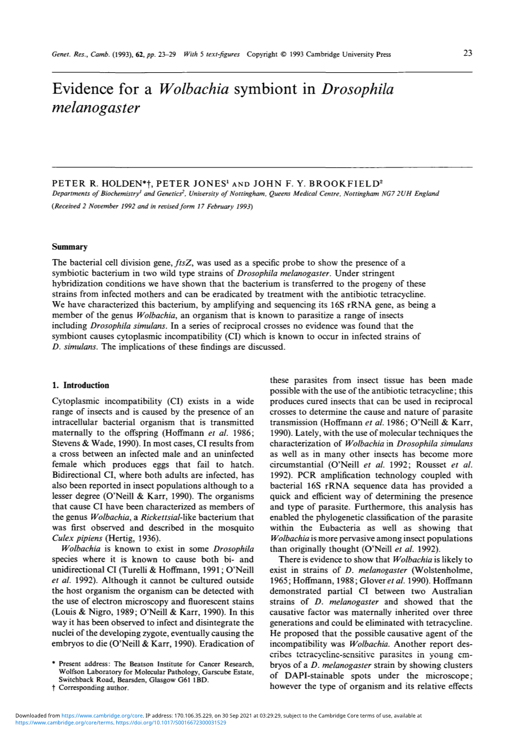 Evidence for a Wolbachia Symbiont in Drosophila Melanogaster