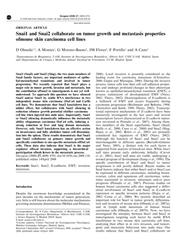 Snai1 and Snai2 Collaborate on Tumor Growth and Metastasis Properties of Mouse Skin Carcinoma Cell Lines