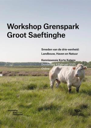 Workshop Grenspark Groot Saeftinghe