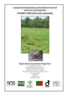 Conservation, Breeding and Reintroduction of Pygmy Hog 2013