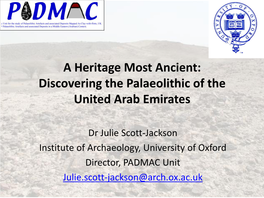 Discovering the Palaeolithic of the United Arab Emirates