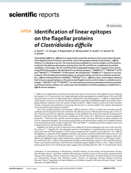 Identification of Linear Epitopes on the Flagellar Proteins of Clostridioides