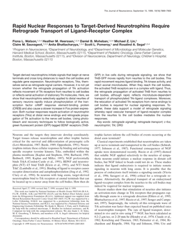 Rapid Nuclear Responses to Target-Derived Neurotrophins Require Retrograde Transport of Ligand–Receptor Complex