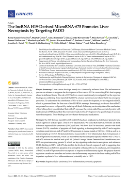 The Lncrna H19-Derived Microrna-675 Promotes Liver Necroptosis by Targeting FADD