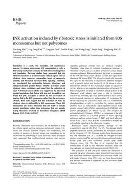 JNK Activation Induced by Ribotoxic Stress Is Initiated from 80S Monosomes but Not Polysomes