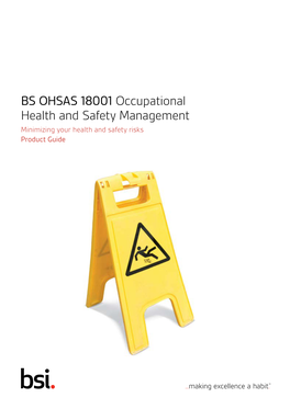 BS OHSAS 18001 Occupational Health and Safety Management Minimizing Your Health and Safety Risks Product Guide What Is BS OHSAS 18001?