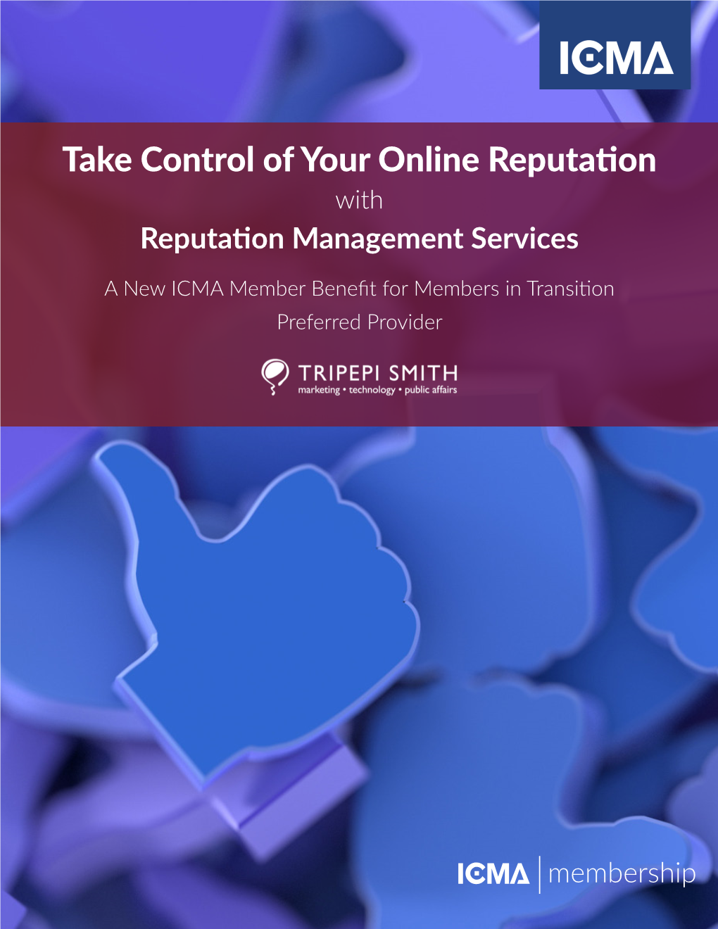 Reputation Management Services