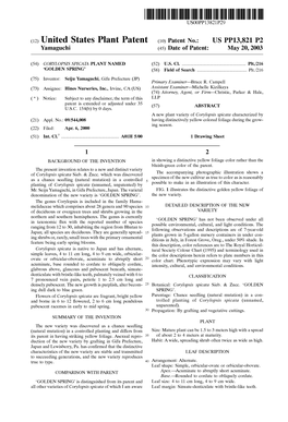 (12) United States Plant Patent (10) Patent N0.: US PP13,821 P2 Yamaguchi (45) Date of Patent: May 20, 2003